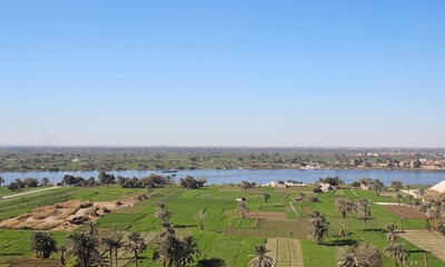 A green farm with trees and agriculture in Minya with ariel view from jabal el tayr in Egypt