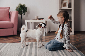 Cute little girl feeding her dog at home. Childhood pet