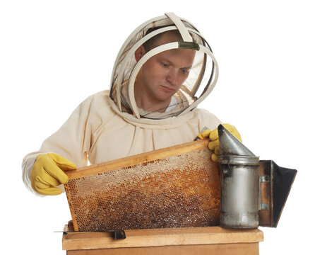 Beekeeper in uniform taking frame with honeycomb out of wooden hive on white background - Powered by Adobe