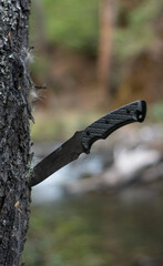 Knife stuck in tree