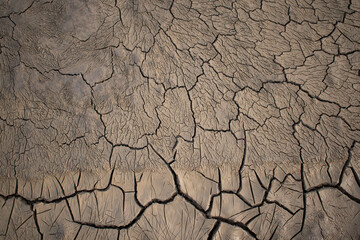 Cracked mud bottom