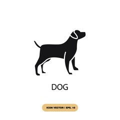 dog icons  symbol vector elements for infographic web
