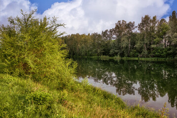 A beautiful landscape of the river surrounded by trees on a sunny summer day under blue sky. Concept: summer.