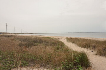 Fototapeta na wymiar Sandy Path Through Grassy Dunes Facing Beach and Ocean Water in Daylight
