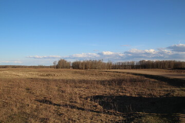 landscape with trees and sky, Elk Island National Park, Alberta