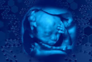 胎児の3D写真