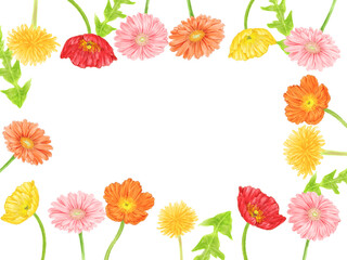 Frames of many spring flowers (poppies, dandelions, gerberas)