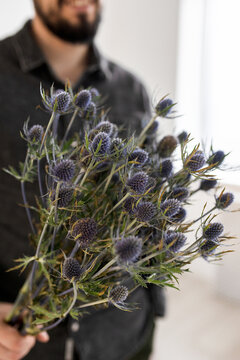 Blue eringium in the hands of a man. Bouquet of thorns