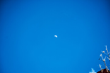 blue sky and moon