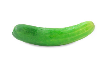 Single fresh green cucumber vegetable isolated on white background with clipping path