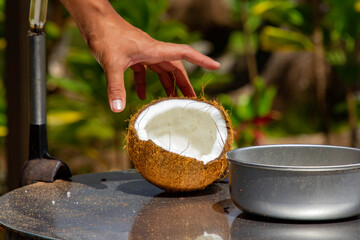 an opened coconut on display