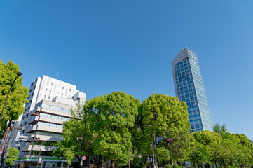 Obraz na płótnie Canvas 東京都港区芝公園の都市景観