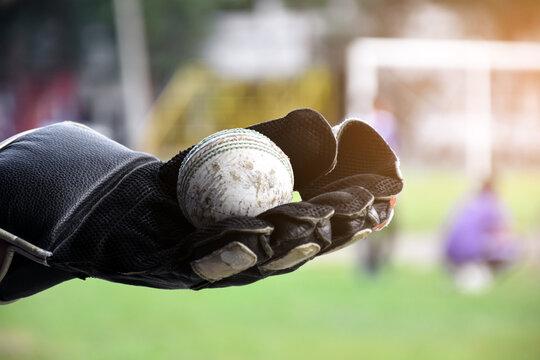 A cricketer's black leather glove with an old cricket ball. Soft and setective focus on glove.