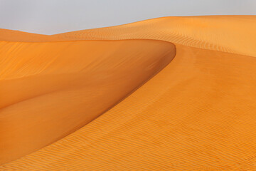 Fototapeta na wymiar Natural landscape of the orange color sand dunes in the desert in Abu Dhabi