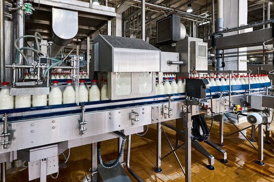 Bottling of pasteurized milk by equipment of production line