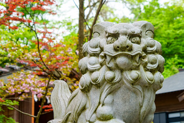 Fototapeta premium 上越春日山神社の狛犬。口を閉じた吽形