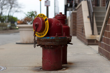 Fototapeta na wymiar A red fire hydrant sitting on the sidewalk