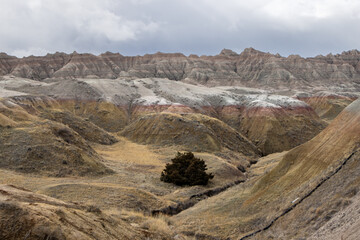A tree sits amongst colorful rocks at Badlands National Park in South Dakota