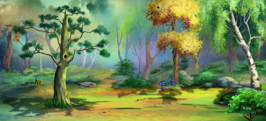 Pine tree on a Forest glade 02