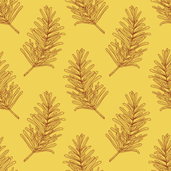 rosemary leaves seamless pattern. wrapping paper, label, menu, kitchen textiles. sketch hand drawn doodle. vector monochrome minimalism. plant, spice.