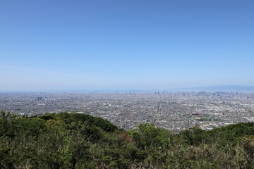 大阪府民の森　なるかわ園地のつつじ