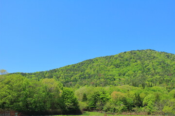 Fototapeta na wymiar 山と青空の風景