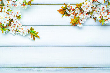Sakura flower spring blossom and April floral nature on wooden background. Banner for 8 march, Happy Easter with place for text. Springtime concept. Top view. Flat lay.