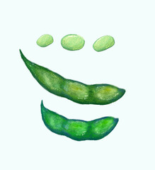 Realistic green fresh soybeans in digital illustration art design