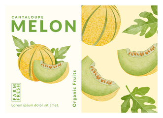 Cantaloupe Melon packaging design templates, watercolour style vector illustration.	