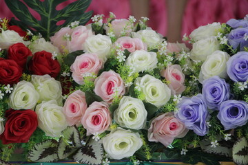 pink and white roses