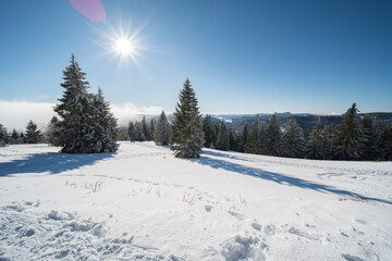 winter landscape at feldberg (1493m) in southern germany.