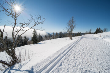 winter landscape at feldberg (1493m) in southern germany.