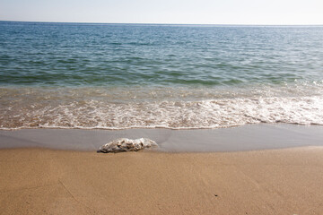 Plastic rubbish on the beach , environmental pollution 
