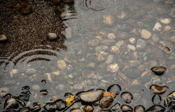 pebble stones in a puddle on a rainy day