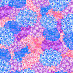 カラフルな紫陽花の花の背景イラスト