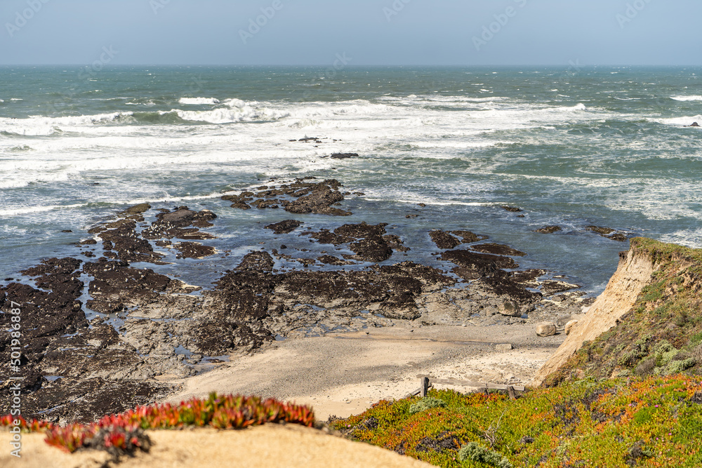 Canvas Prints Scenic view of the Pacific Coast. J V Fitzgerald Marine Reserve.