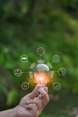 Light bulb Energy saving green nature background