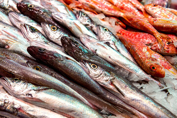 Obraz premium Fish Market. Sea fish in assortment on the ice market counter