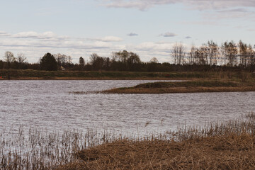 Latvia, river Lielupe between Jelgava and Stalgene