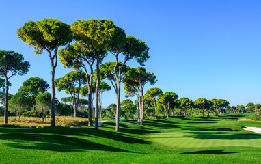 Fototapeta na wymiar Abwechlungsreich gestaltete Landschaft eines Golfplatzes