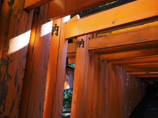伏見稲荷大社の鳥居