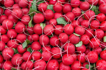 small red radishes with view from above - Powered by Adobe