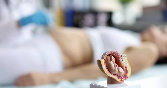 Pregnant woman makes obstetric sonogram with ultrasound equipment in hospital