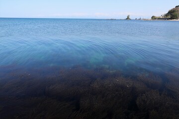 雨晴海岸と立山連峰