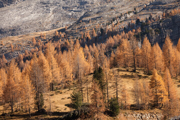 Autumnal view in the Dolomites
