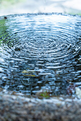 東京都江東区　清澄庭園　日本庭園の水瓶