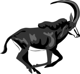 Sable antelope running - vector illustration