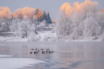 Desnala river in winter