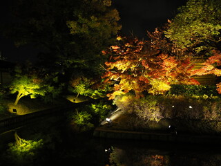 紅葉のライトアップ