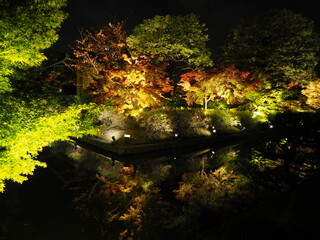 紅葉のライトアップ